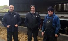 New approach to mastitis ‘almost halves’ farmer’s antibiotic costs