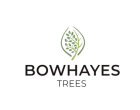 bowhays tree