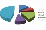 Milling wheat – a potential opportunity for 2013 Milling wheat – a potential opportunity for 2013