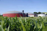 Government proposes severe cuts to Anaerobic Digestion Feed-in Tariffs Government proposes severe cuts to Anaerobic Digestion Feed-in Tariffs