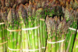 Tax Tribunal unable to decide whether asparagus growing is farming or market gardening