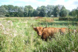 Scottish Government must approve cheap EU loans for farmers Scottish Government must approve cheap EU loans for farmers
