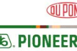 DuPont Pioneer expands herbicide tolerant sunflower line-up DuPont Pioneer expands herbicide tolerant sunflower line-up