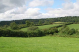 RPA reports good progress towards BPS payments for farmers RPA reports good progress towards BPS payments for farmers