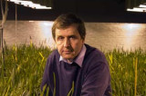 Double haploids, gene markers – how do modern breeding technologies really benefit farmers? Double haploids, gene markers – how do modern breeding technologies really benefit farmers?