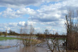 Flooded or waterlogged agricultural land