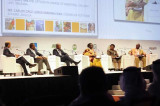 Ministers call for steps to promote partnership and agricultural innovation in Africa Ministers call for steps to promote partnership and agricultural innovation in Africa