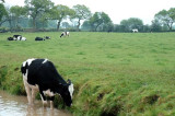 Severn Trent reopens Environmental Grants Scheme for farmers Severn Trent reopens Environmental Grants Scheme for farmers