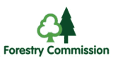Reports forecast timber availability from British forests over next 50 years Reports forecast timber availability from British forests over next 50 years