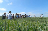 Importance of disease resistance ratings on show at open day Importance of disease resistance ratings on show at open day