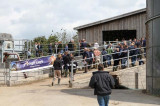 Dairy farmers get rock star treatment at Agri-Lloyd and Alta event Dairy farmers get rock star treatment at Agri-Lloyd and Alta event