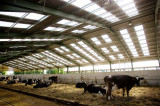 Farmlite: A leading light in farm buildings Farmlite: A leading light in farm buildings