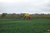 Leatherjacket numbers crash but farmers still advised to check key crops Leatherjacket numbers crash but farmers still advised to check key crops