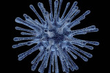 TGAC leads research to help identify animal-to-human transmitted diseases TGAC leads research to help identify animal-to-human transmitted diseases