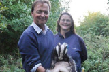 Big rollout planned for badger jab project Big rollout planned for badger jab project