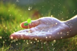 Plant-based crop protection innovation from AlphaBio Control Plant-based crop protection innovation from AlphaBio Control