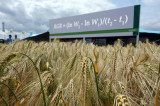 Mathematics plays a key role in agriculture Mathematics plays a key role in agriculture