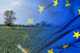 CLA urges next EU Presidency to allow UK farming to thrive