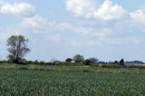DEFRA’s open by default creates opportunities for new types of agri-tech application DEFRA’s open by default creates opportunities for new types of agri-tech application