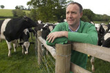Pregnant heifers culled in East Devon following TB tests Pregnant heifers culled in East Devon following TB tests