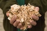 Woodland owners missing out on millions Woodland owners missing out on millions