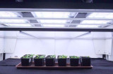 Valoya LightDNA simulates natural outdoor light for plants Valoya LightDNA simulates natural outdoor light for plants