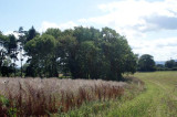 Stay green; look after your on-farm environmental features Stay green; look after your on-farm environmental features