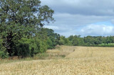 Warburtons commits to five-year plan with growers Warburtons commits to five-year plan with growers