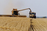 Farm tech gains boosts South Australian grain harvest Farm tech gains boosts South Australian grain harvest