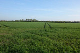 Update on farm payment schemes Update on farm payment schemes