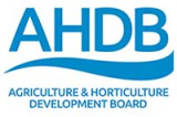 AHDB issues call for new studentship proposals