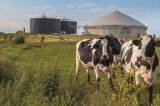 ADBA – Do food retailers hold the key to on-farm AD success? ADBA – Do food retailers hold the key to on-farm AD success?