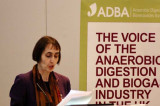 ADBA calls for sector support from new Government ADBA calls for sector support from new Government