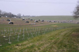 Gove: Tree planting rates have not been good enough Gove: Tree planting rates have not been good enough