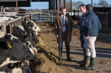 CHeCS farmers rewarded by Defra in new TB rules