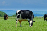 New video shows what it means to be an organic farmer New video shows what it means to be an organic farmer