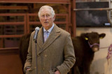 HRH The Prince of Wales launches Farm Resilience Programme at Louth Livestock Market