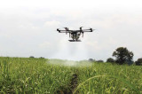 What Do Drone IP Rating Standards Mean for the Agricultural Sector? What Do Drone IP Rating Standards Mean for the Agricultural Sector?
