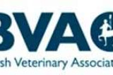 BVA concern at CMO call for sick animals to be slaughtered not treated BVA concern at CMO call for sick animals to be slaughtered not treated