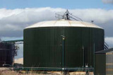 Anaerobic Digestion industry fights to survive Anaerobic Digestion industry fights to survive