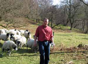 richard and sheep