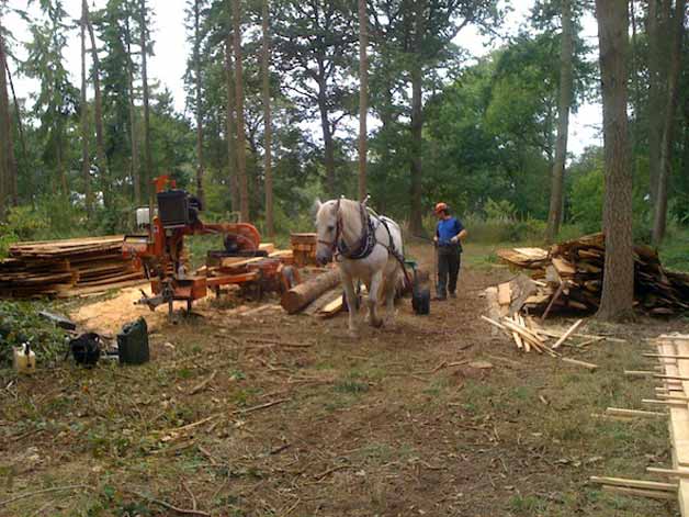 Working Horse