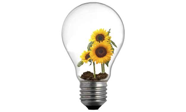 idea_lightbulb