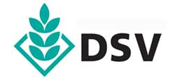 dsv logo