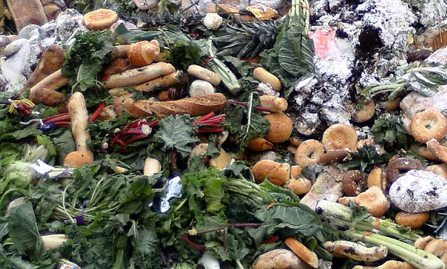 food waste