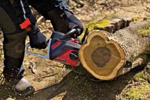 PowerNow40VCS250_web CS250 chain saw