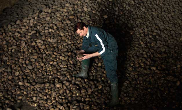 Robin Cropper, Potato Farmer