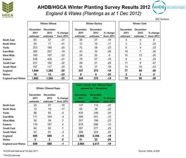 ahdb winter planting survey