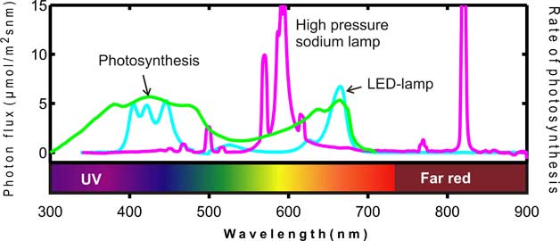 Photosynthesis and greenhouse lamps