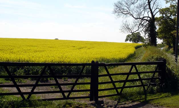 farm gate